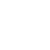 Web-Chip разработка
